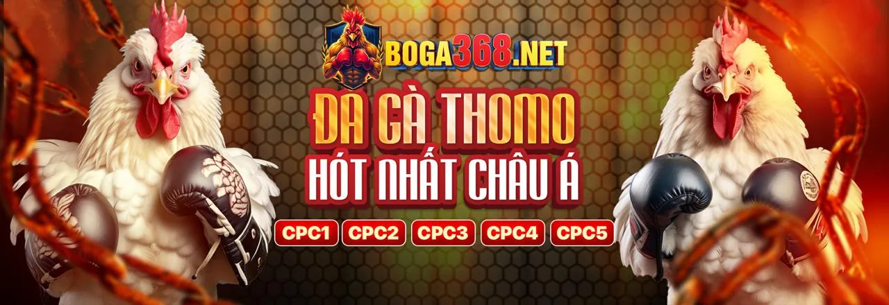 Tin tức Happyluke trang chủ chính thức